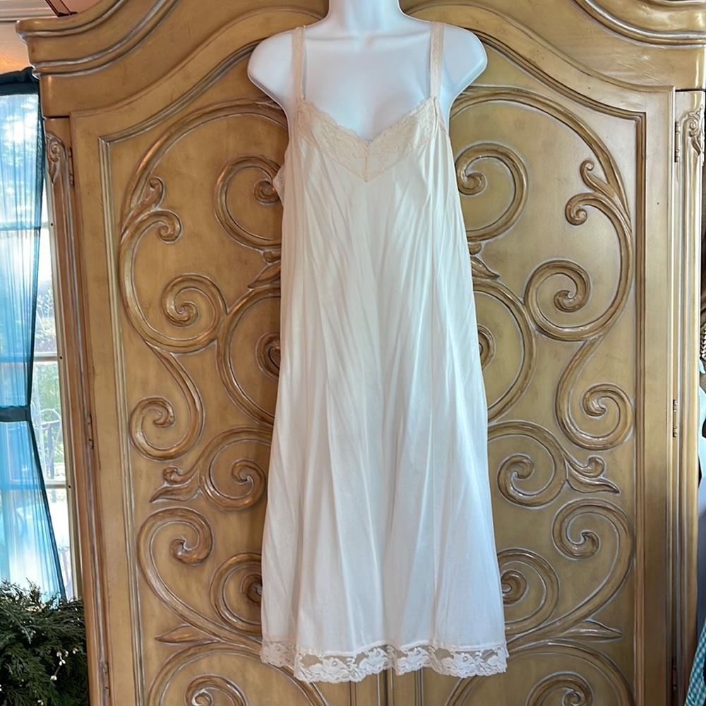 Deena nude dress slip